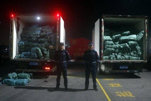北海海警联合公安缴获约17吨走私牛杂冻品
