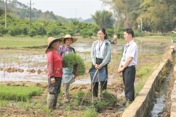 深度关注丨沃野春耕望丰年