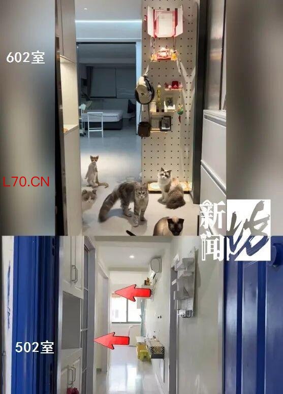 天塌了！上海男子买二手房装修时却傻眼，坚决退房！被前业主怼“拎不清”