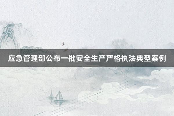 应急管理部公布一批安全生产严格执法典型案例