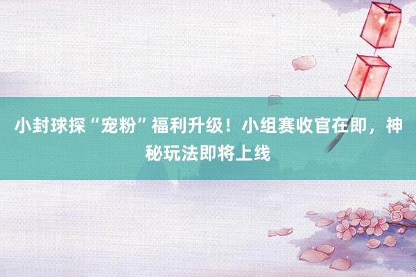 小封球探“宠粉”福利升级！小组赛收官在即，神秘玩法即将上线