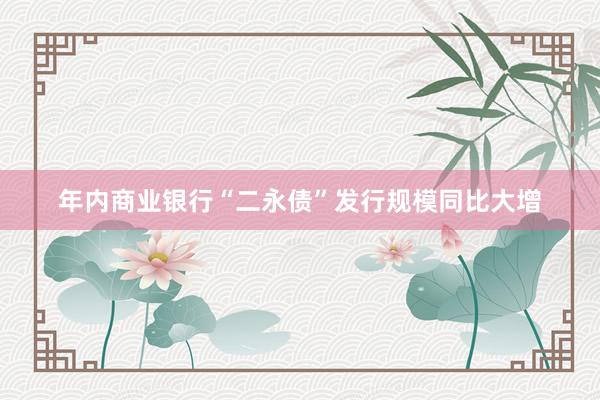年内商业银行“二永债”发行规模同比大增