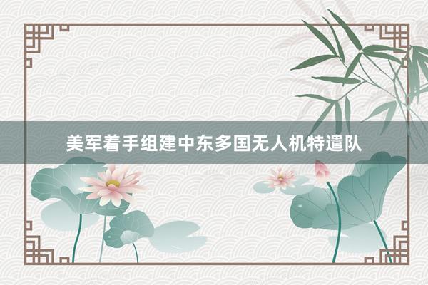 美军着手组建中东多国无人机特遣队