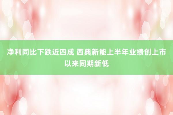 净利同比下跌近四成 西典新能上半年业绩创上市以来同期新低