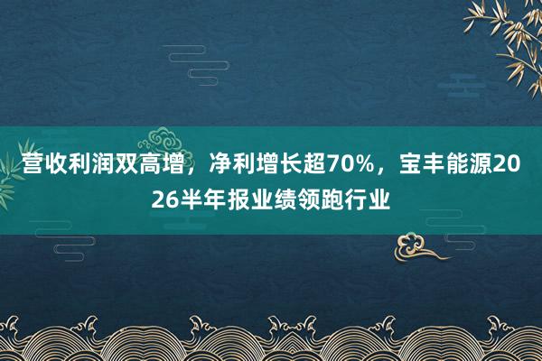 营收利润双高增，净利增长超70%，宝丰能源2026半年报业绩领跑行业