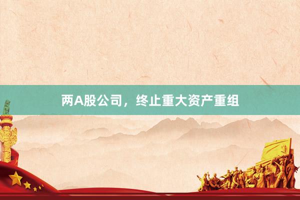 两A股公司，终止重大资产重组