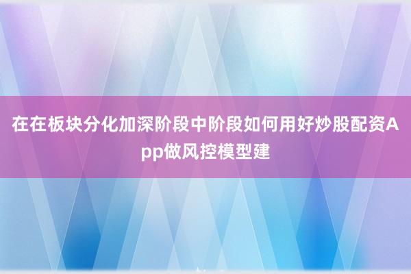 在在板块分化加深阶段中阶段如何用好炒股配资App做风控模型建