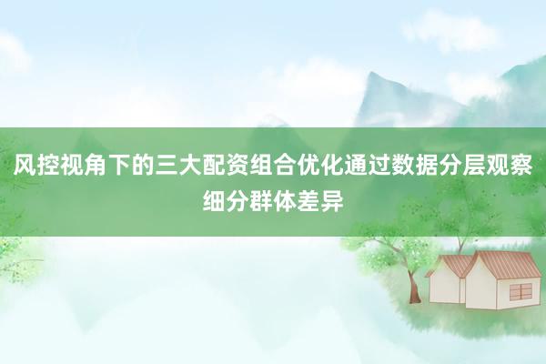 风控视角下的三大配资组合优化通过数据分层观察细分群体差异