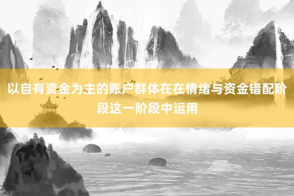 以自有资金为主的账户群体在在情绪与资金错配阶段这一阶段中运用