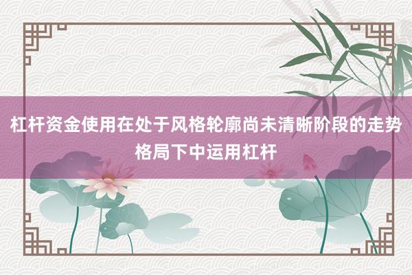 杠杆资金使用在处于风格轮廓尚未清晰阶段的走势格局下中运用杠杆