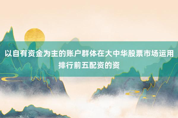 以自有资金为主的账户群体在大中华股票市场运用排行前五配资的资
