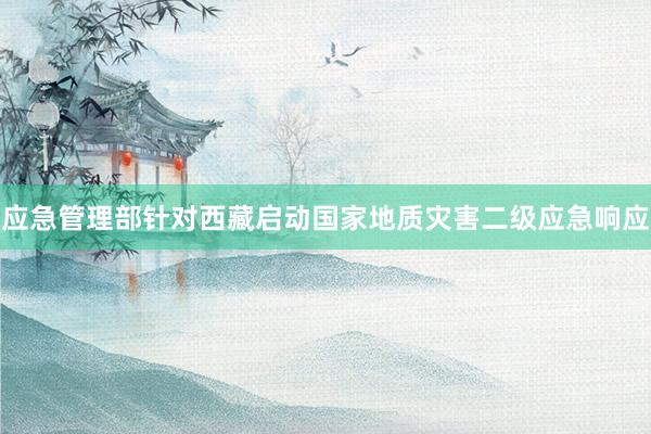 应急管理部针对西藏启动国家地质灾害二级应急响应