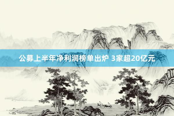 公募上半年净利润榜单出炉 3家超20亿元
