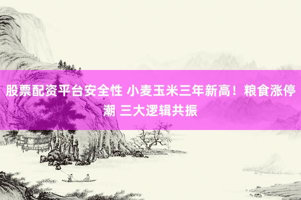 股票配资平台安全性 小麦玉米三年新高！粮食涨停潮 三大逻辑共振