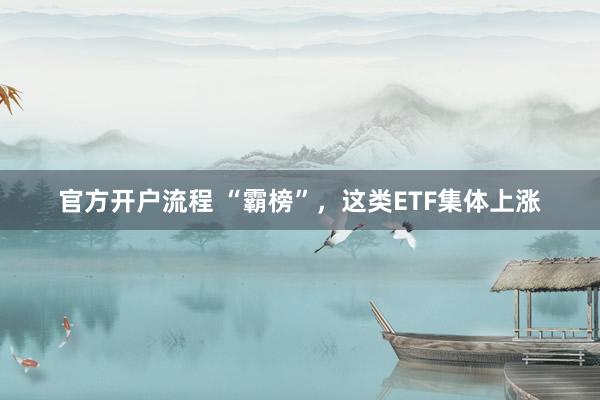 官方开户流程 “霸榜”，这类ETF集体上涨