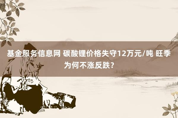 基金服务信息网 碳酸锂价格失守12万元/吨 旺季为何不涨反跌？