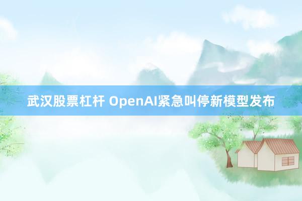 武汉股票杠杆 OpenAI紧急叫停新模型发布